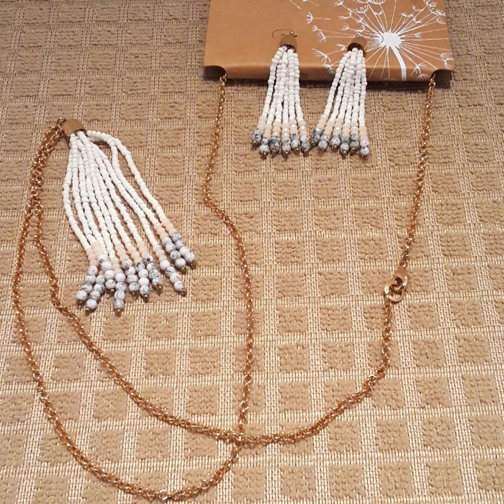Necklace and Earring set